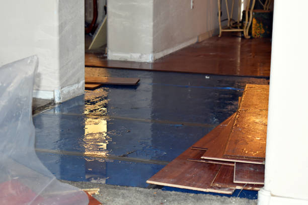 Professional Storm Water Damage Restoration technician working in Sardinia, OH